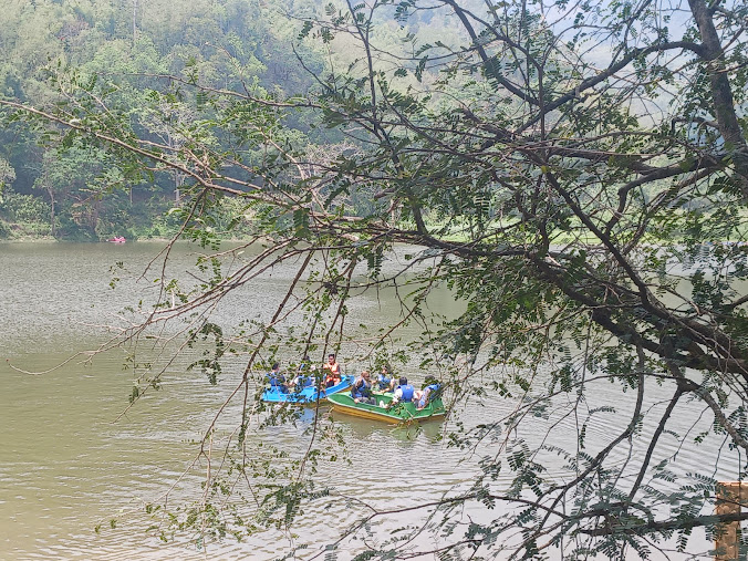 Tam Dil, photo 3 of 8