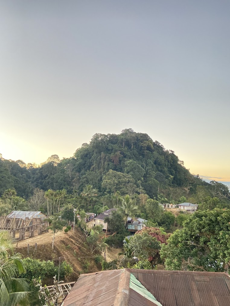 Ambassa, Tripura, photo 3