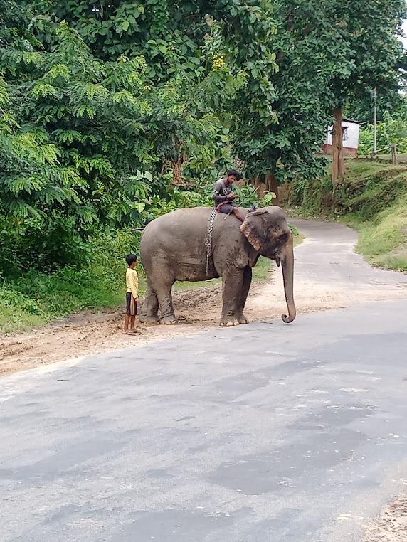Chabimura, Tripura, photo 2
