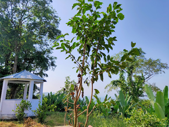 Kailashahar, Tripura, photo 2