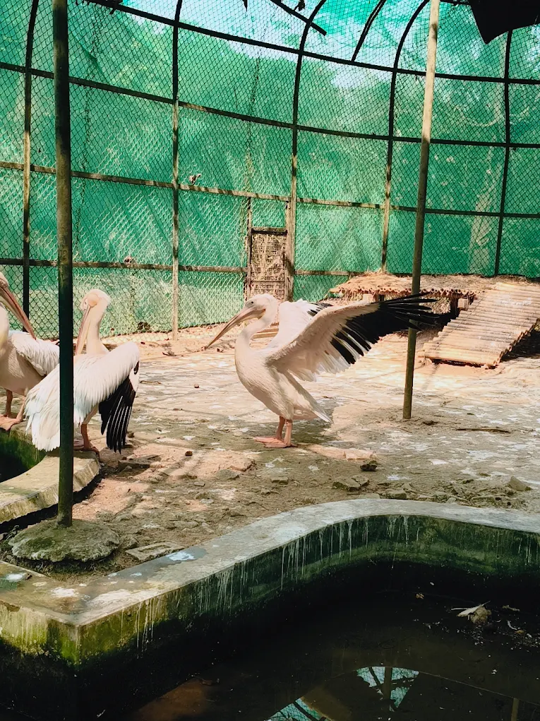 Sepahijala, Tripura, photo 3