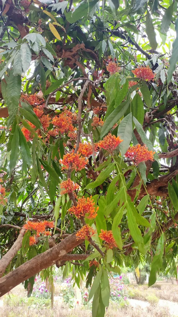 Udaipur, Tripura, Tripura, photo 2