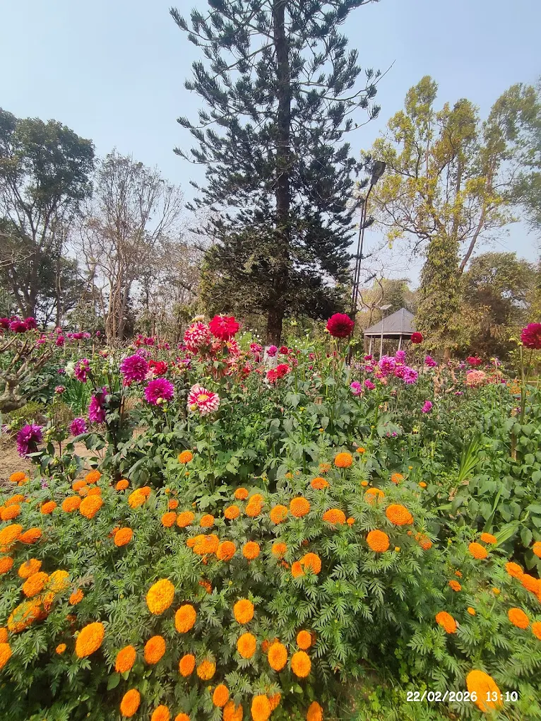 Neermahal (Twijilikma Nuyung), Tripura, photo 4