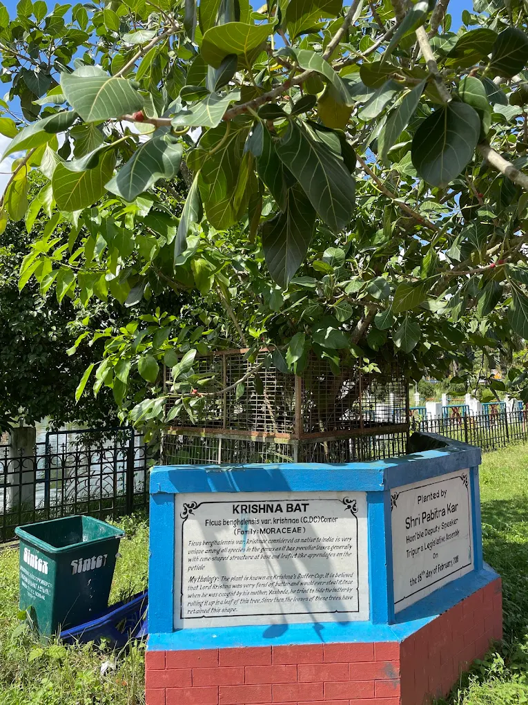 Chaturdas Devata Temple, photo 1 of 5