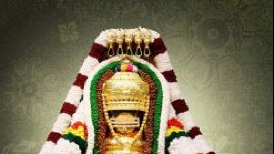 Ramanathaswamy Temple Gopuram, photo 4 of 6