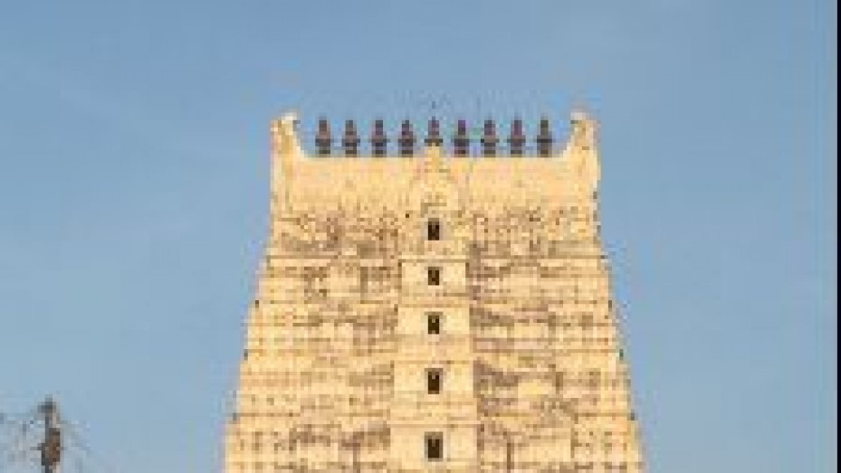 Ramanathaswamy Temple Gopuram, photo 3 of 6
