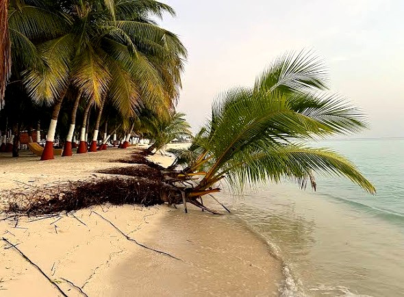 Bangaram South Beach Road, photo 1 of 8