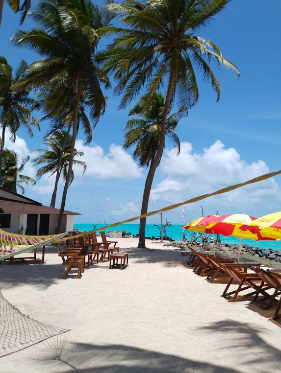 Turtle Nest Resort, photo 3 of 9