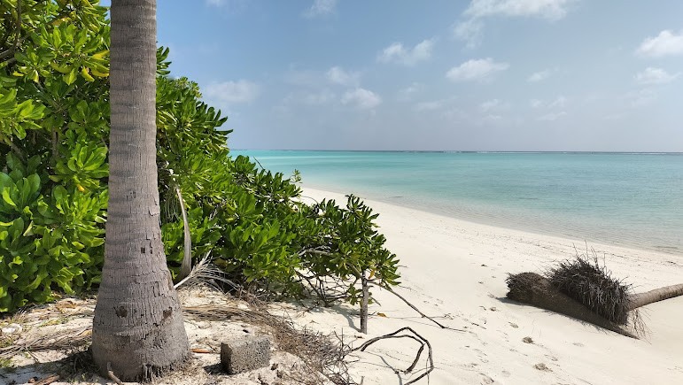 Tinnakara, Lakshadweep, photo 2