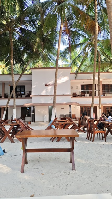 Palmtown Residency and Travels, photo 3 of 4