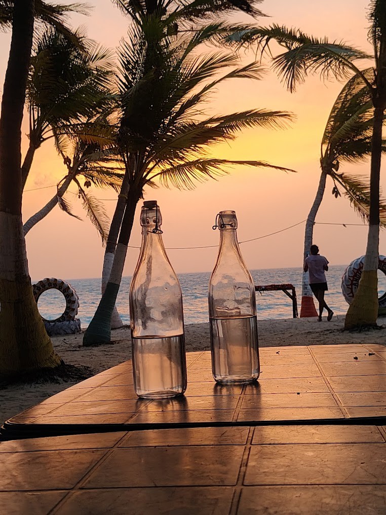 Palmtown Residency and Travels, photo 4 of 4