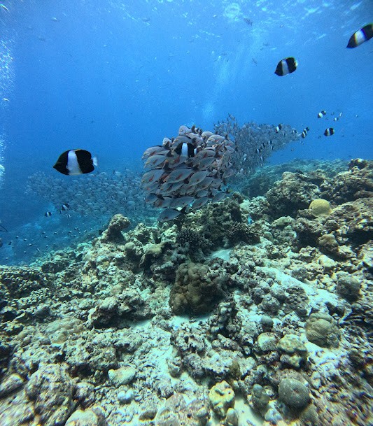 LAK SCUBA, photo 2 of 5