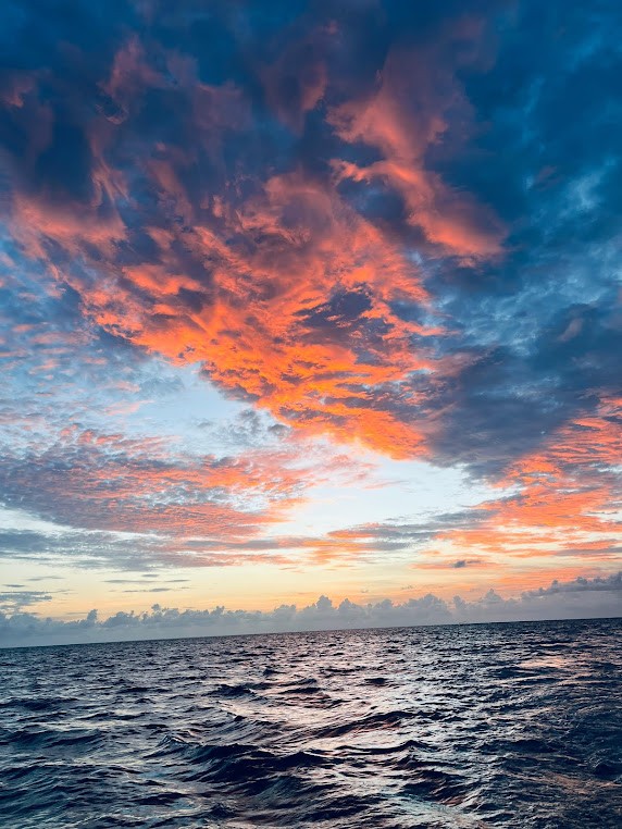 Bitra Island, Lakshadweep, photo 3