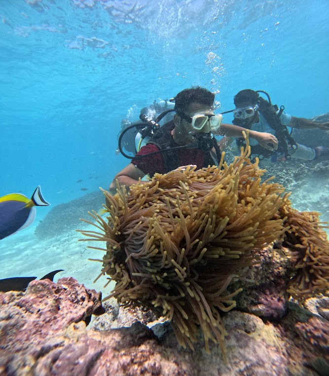 Diving Point V59P+77, photo 2 of 6