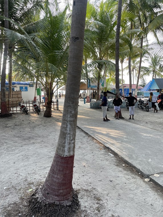 Andrott, Lakshadweep, photo 4