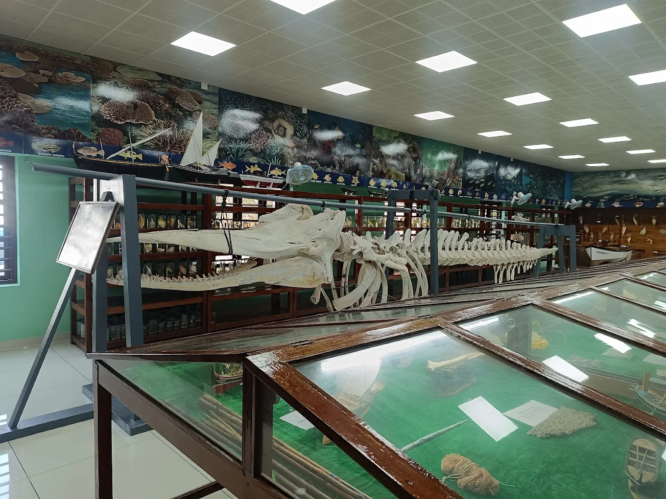 Marine Aquarium and Museum, photo 1 of 7