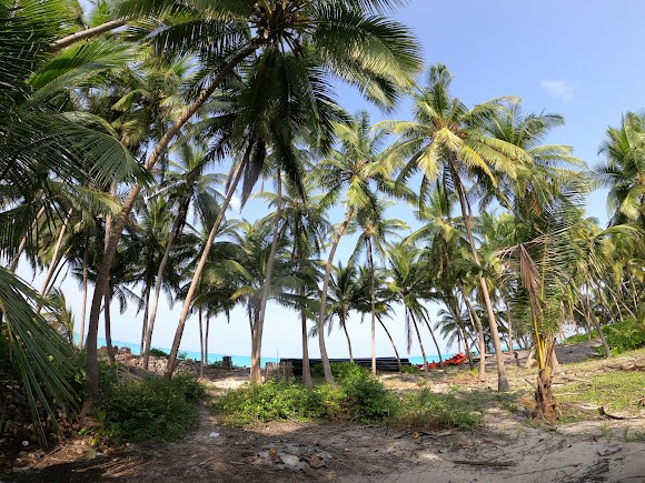 Cheriyam Island 3J9J+FF6, photo 2 of 8