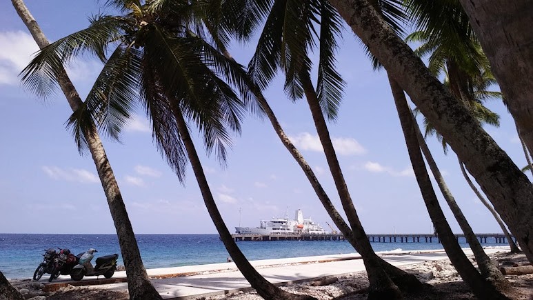 Amini, photo 3 of 7