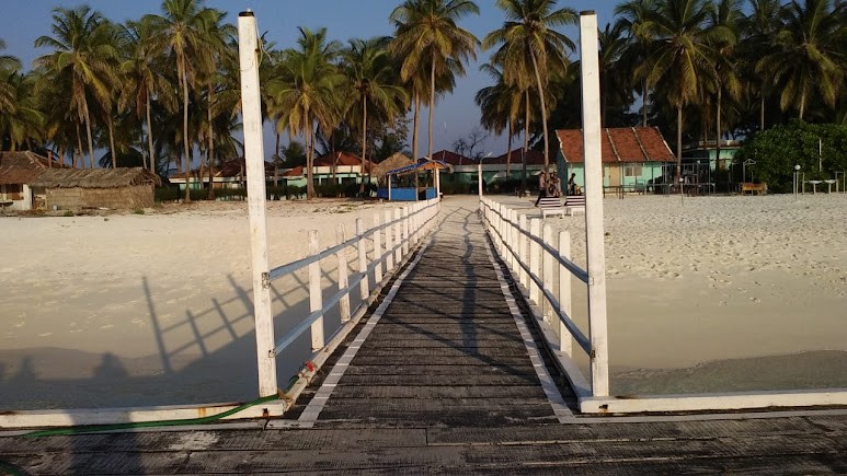Amini, photo 4 of 7