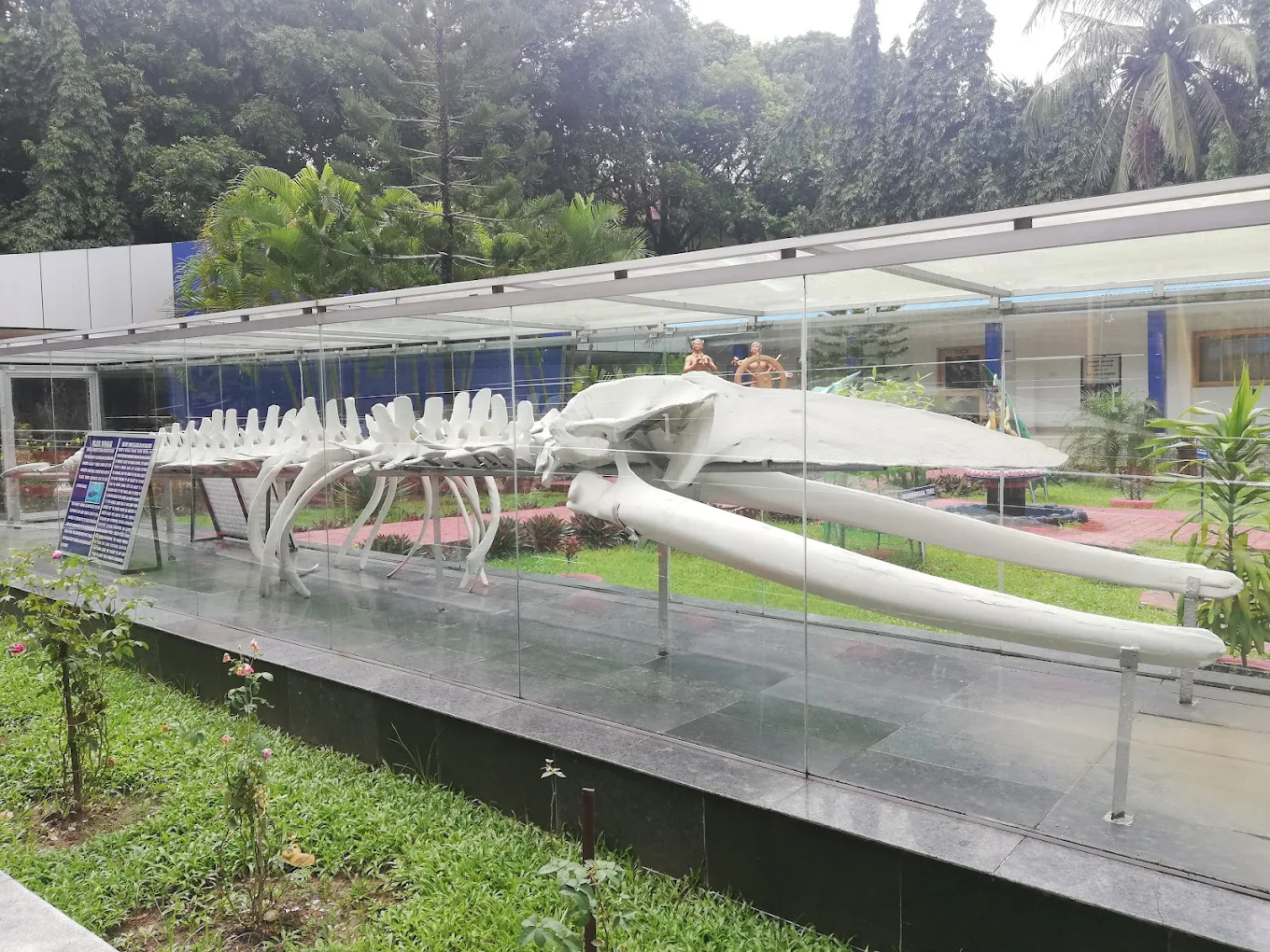 Samudrika Marine Museum, photo 1 of 10