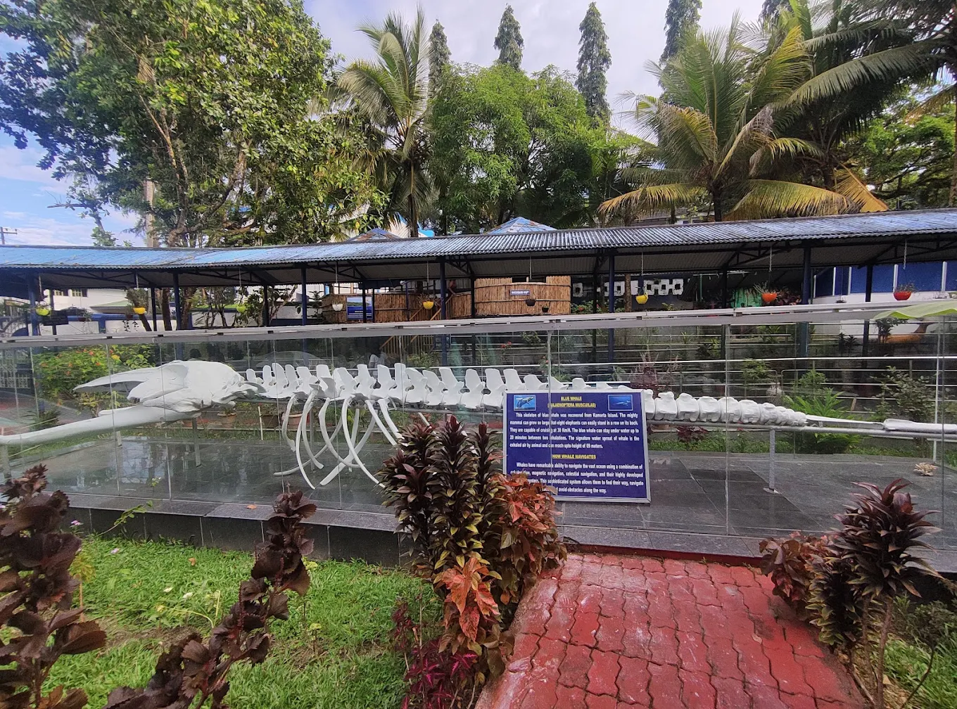 Samudrika Marine Museum, photo 2 of 10