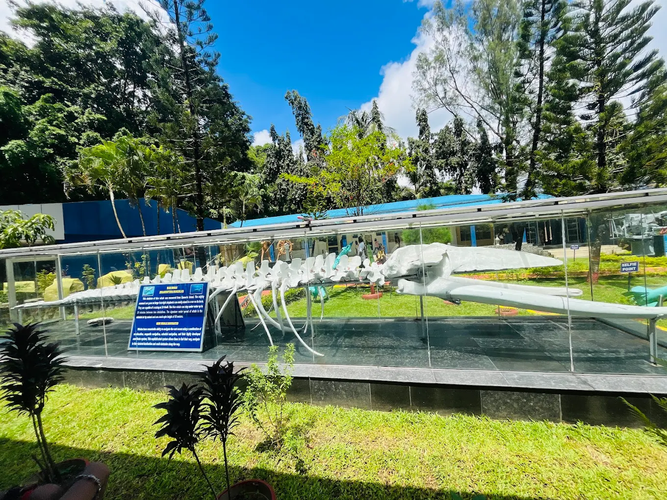 Samudrika Marine Museum, photo 4 of 10