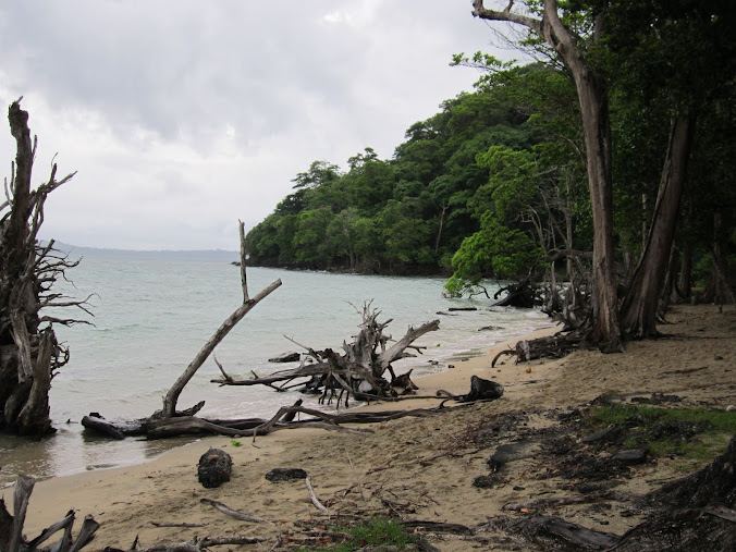 Viper Island 744206, photo 2 of 10