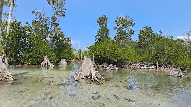 Elephant Beach, photo 2 of 10
