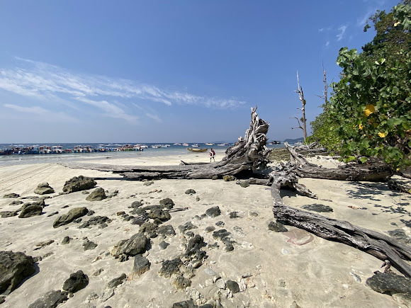 Elephant Beach, photo 3 of 10