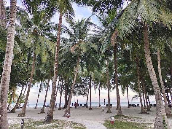 Vijay Nagar Beach, photo 3 of 7