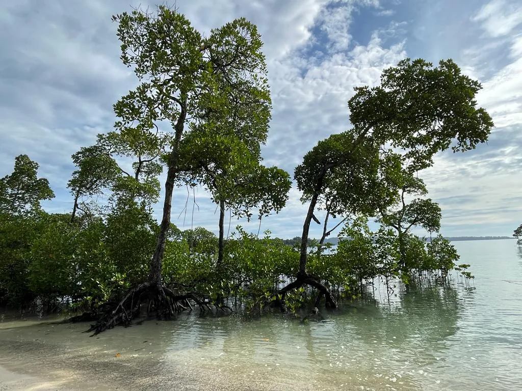 Baratang Island, Andaman and Nicobar Islands