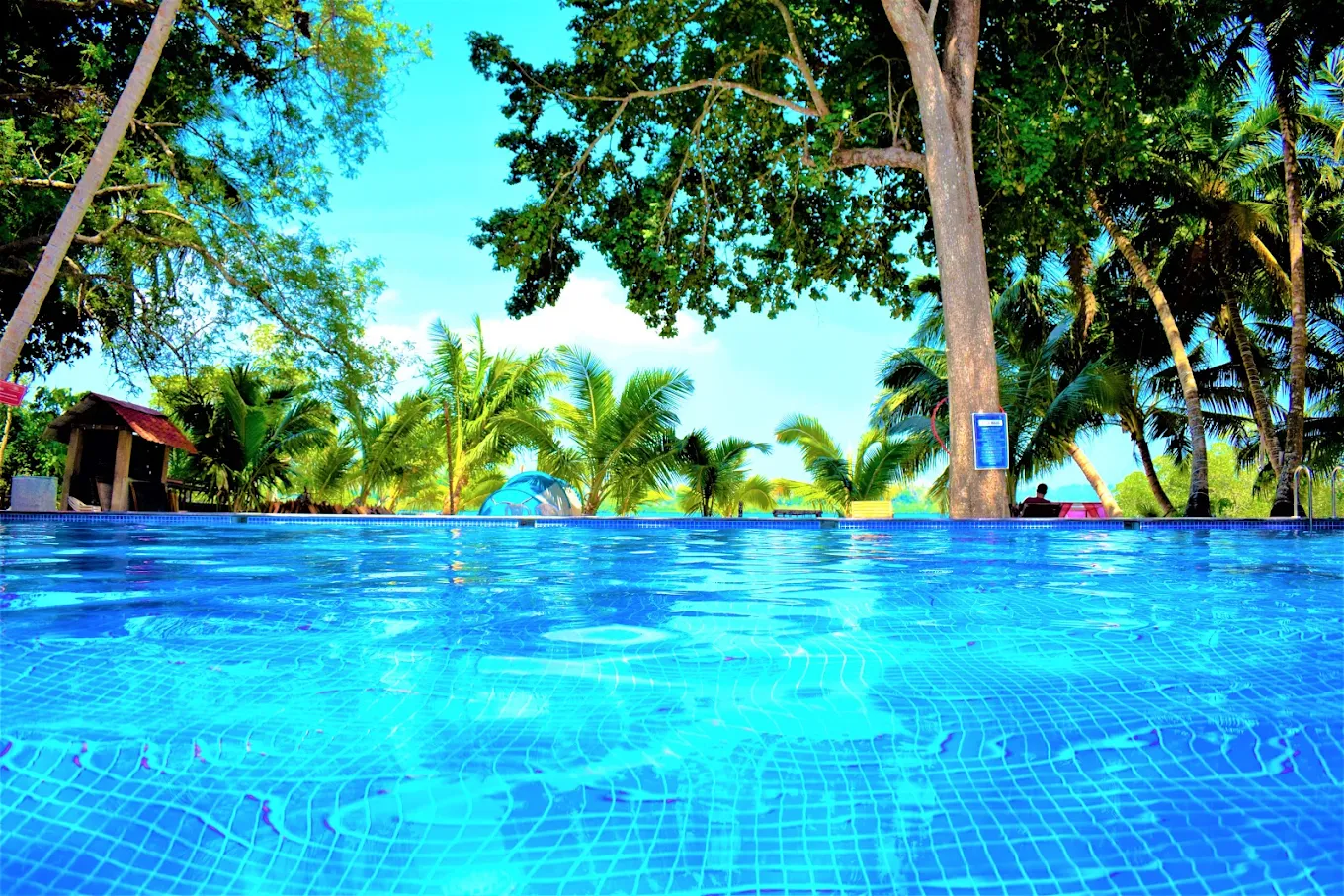 Havelock Island Beach Resort, photo 4 of 9