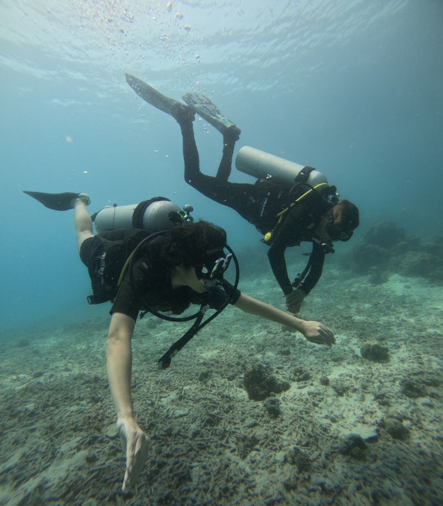 Baratang Island, Andaman and Nicobar Islands, photo 4