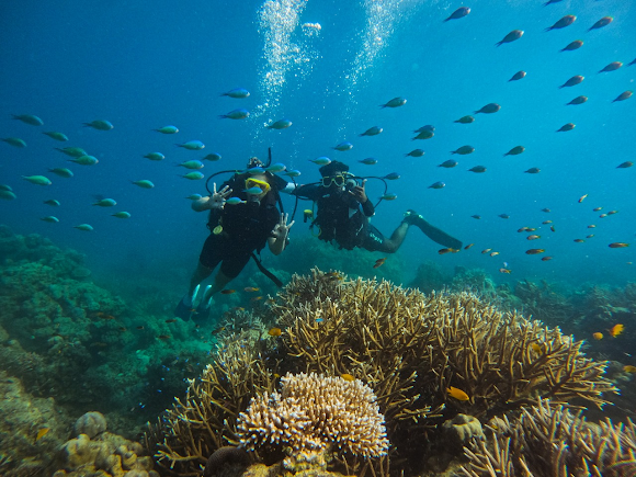 Swaraj Dweep, Andaman and Nicobar Islands, photo 3