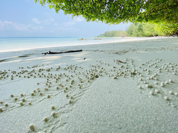 North Reef Island, photo 2 of 6