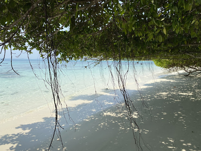 North Reef Island, photo 3 of 6
