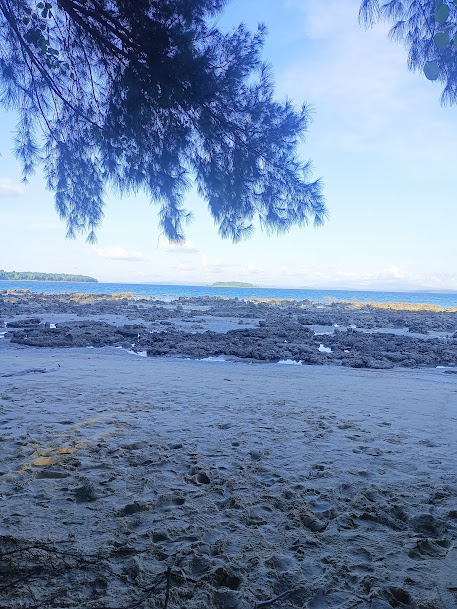 North Reef Island, photo 4 of 6