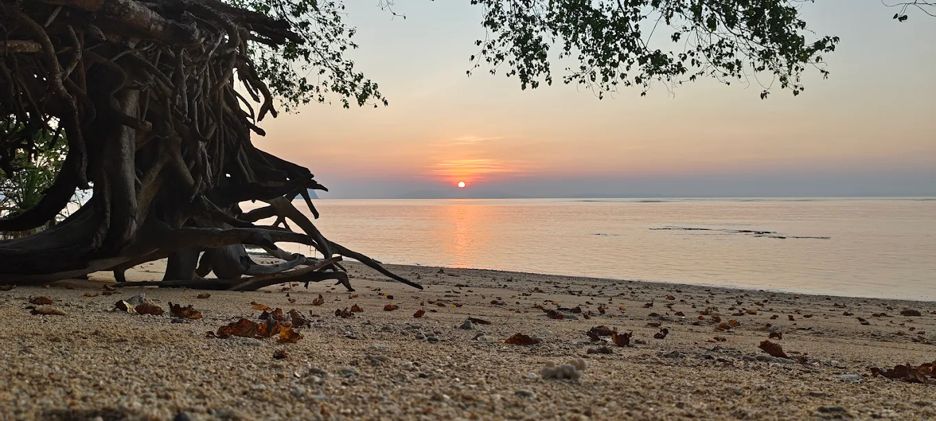 Baludera beach, Baratang, photo 3 of 9