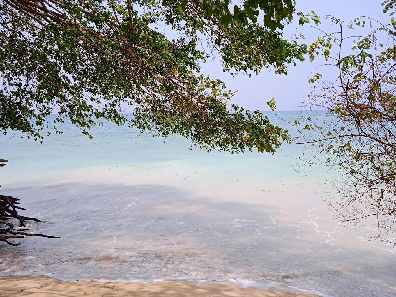 Baludera beach, Baratang, photo 4 of 9