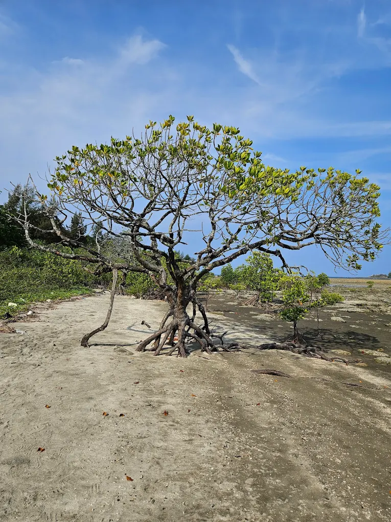 Kalipur Beach, photo 4 of 28