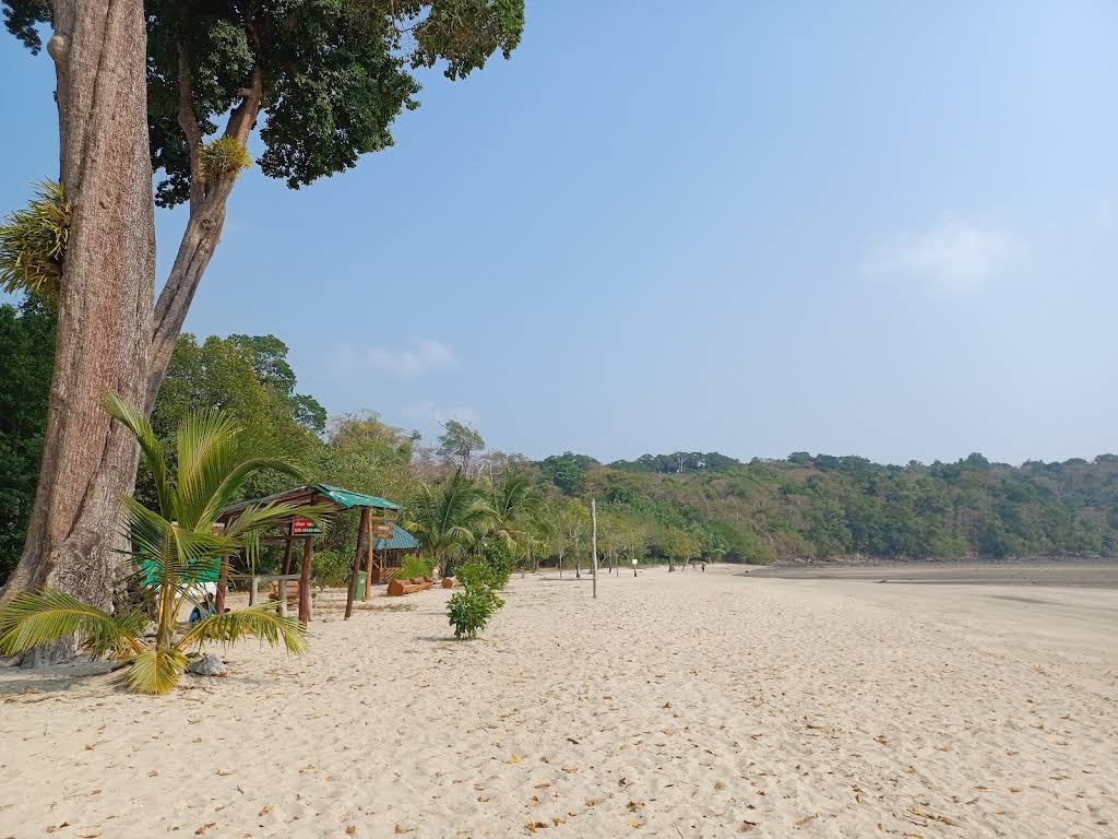 Turtle Resort, photo 3 of 3