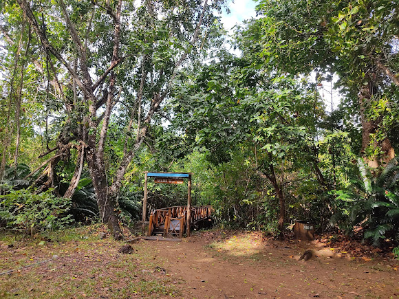 Dhani Nallah Beach, photo 2 of 8