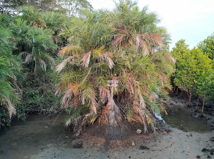 Diglipur, Andaman and Nicobar Islands