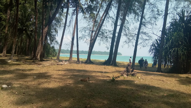 Butler Bay Beach, photo 1 of 8