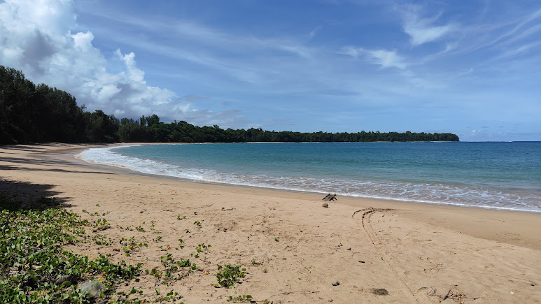 Butler Bay Beach, photo 4 of 8