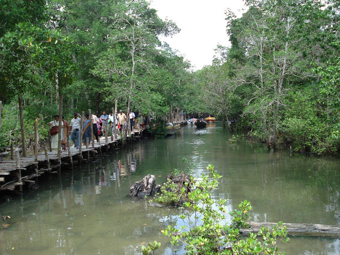 Long Island, Andaman and Nicobar Islands, photo 4