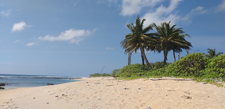 Indira Point, photo 2 of 7