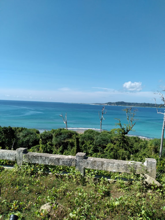 Great Nicobar, Andaman and Nicobar Islands, photo 4