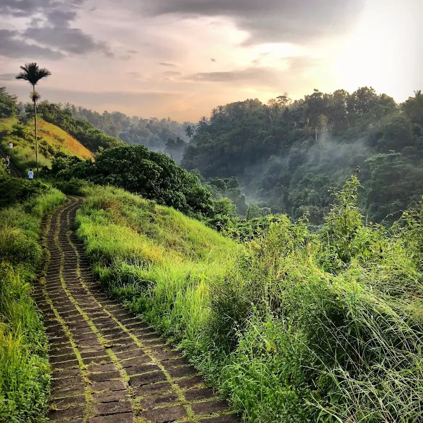 Campuhan Ridge Walk, photo 1 of 10