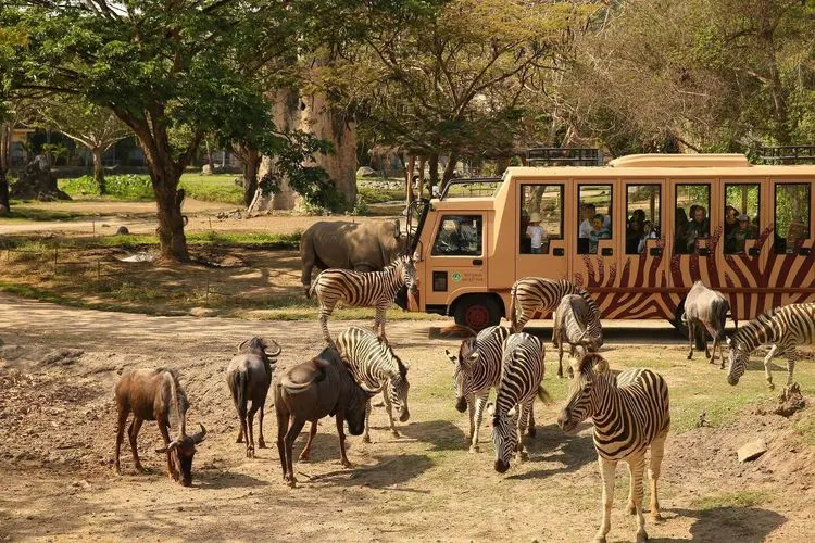 The Amazing Taman Safari Bali, photo 1 of 11